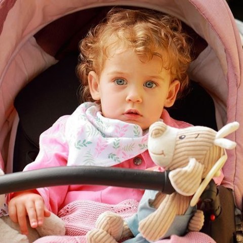 Śliniak Apaszka Leaves