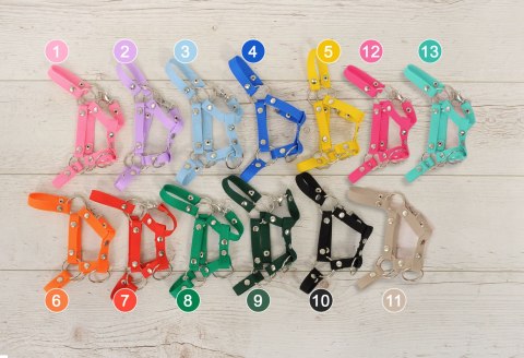 Kantar Dla Konia Hobby Horse Uniwersalny A4 I A5 Zapinany - Miętowy