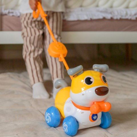 WOOPIE Interaktywny Piesek 2w1 Pchacz Szczekający 360° 6m+