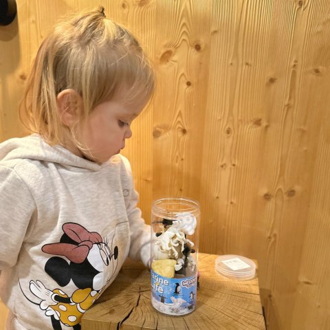 WOOPIE Zestaw Figurki Zwierzęta Arktyczne 16 szt. WOOPIE Zestaw Figurki Zwierzęta Arktyczne 16 szt.