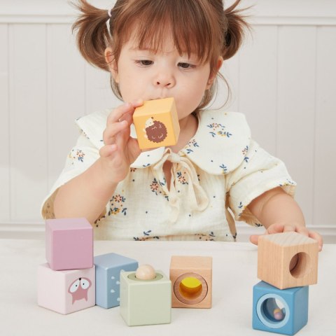 VIGA Drewniane Klocki Sensoryczne PolarB