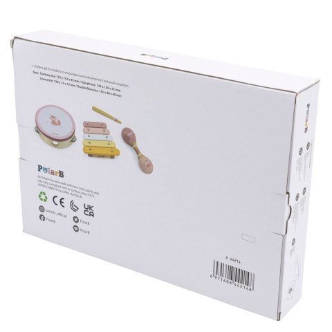 Viga Polarb Zestaw Instrumentów Muzycznych Różowy